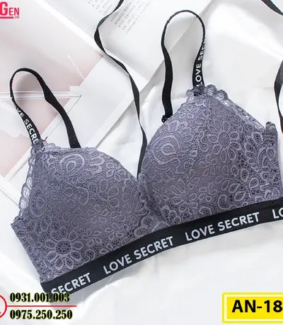 Áo Lót Độn Ngực Không Gọng AN-185