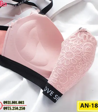 Áo Lót Độn Ngực Không Gọng AN-185