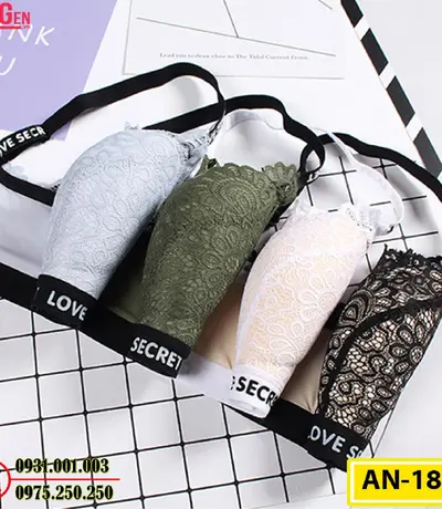 Áo Lót Độn Ngực Không Gọng AN-185