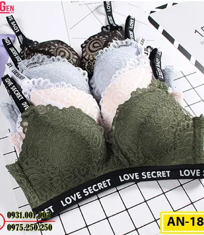 Áo Lót Độn Ngực Không Gọng AN-185