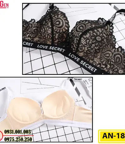 Áo Lót Độn Ngực Không Gọng AN-185
