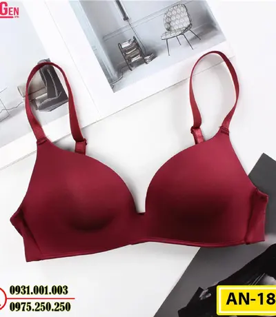 Áo Ngực Không Gọng Cao Cấp Cod: AN-187