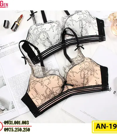 Áo Ngực Không Gọng Cao Cấp AN-191