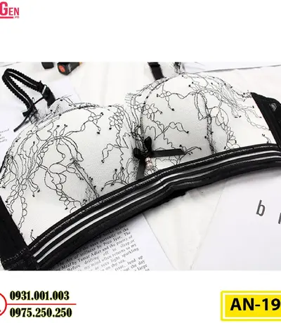 Áo Ngực Không Gọng Cao Cấp AN-191