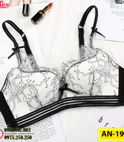 Áo Ngực Không Gọng Cao Cấp AN-191