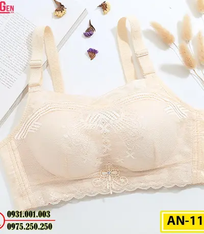 Áo Ngực Bản To Cao Cấp Cod: AN-119