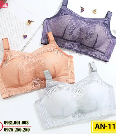 Áo Ngực Bản To Cao Cấp Cod: AN-119