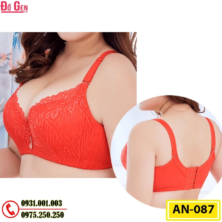 Áo Lót Ngực Cao Cấp Big Size AN-087