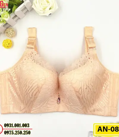 Áo Lót Ngực Cao Cấp Big Size AN-087