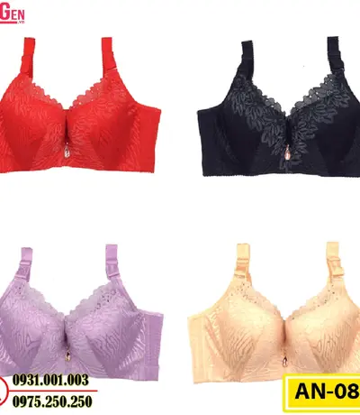 Áo Lót Ngực Cao Cấp Big Size AN-087