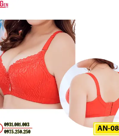 Áo Lót Ngực Cao Cấp Big Size AN-087