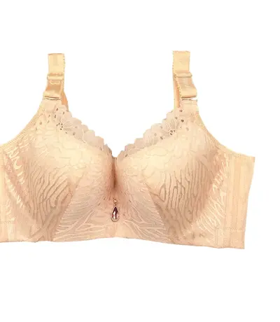 Áo Lót Ngực Cao Cấp Big Size AN-087