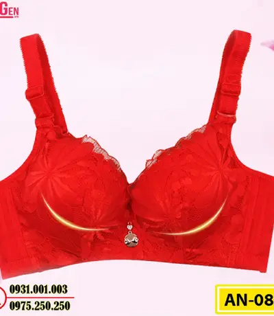 Áo Lót Ngực Big Size Không Gọng AN-088