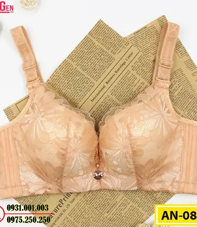 Áo Lót Ngực Big Size Không Gọng AN-088