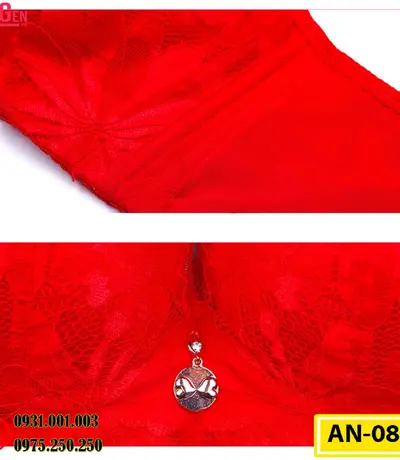 Áo Lót Ngực Big Size Không Gọng AN-088