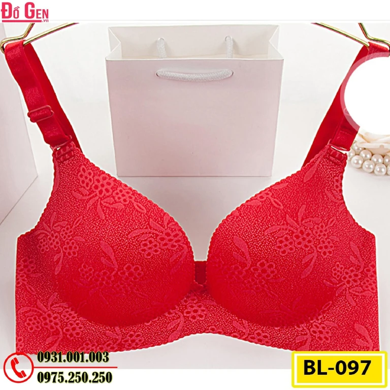 Bộ Đồ Lót Cao Cấp Cod: BL-097