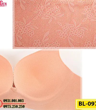 Áo Ngực Bản To Cao Cấp Cod: BL-097