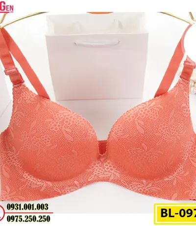 Áo Ngực Bản To Cao Cấp Cod: BL-097