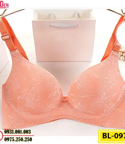 Áo Ngực Bản To Cao Cấp Cod: BL-097