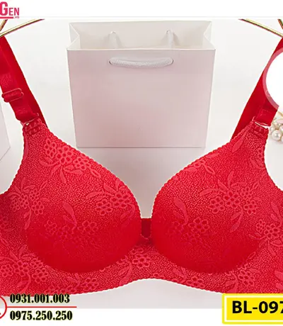 Áo Ngực Bản To Cao Cấp Cod: BL-097