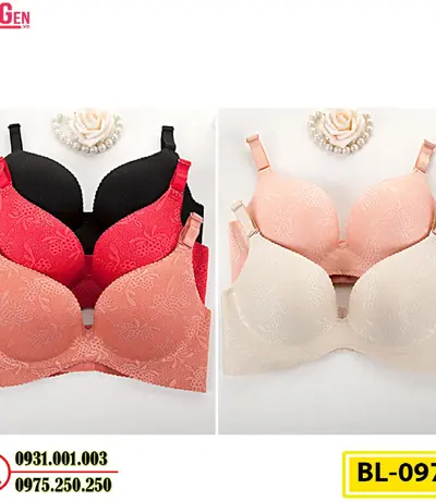 Áo Ngực Bản To Cao Cấp Cod: BL-097