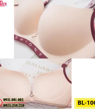Bộ Đồ Lót - Áo Ngực Quần Lót Cao Cấp Cho Bạn Vóc Dáng Hoàn Hảo AN-100