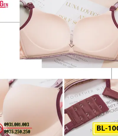 Bộ Đồ Lót - Áo Ngực Quần Lót Cao Cấp Cho Bạn Vóc Dáng Hoàn Hảo AN-100