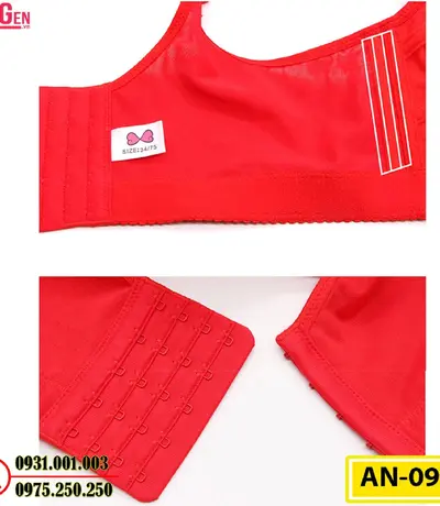 Áo Ngực Bản To Cao Cấp Cod: AN-095