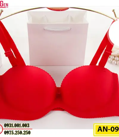 Áo Lót Ngực Có Gọng Cho Bạn Vòng Ngực Hoàn Hảo Cod: AN-096
