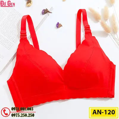 Áo Ngực Không Gọng Cao Cấp AN-120