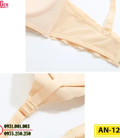 Áo Ngực Không Gọng Cao Cấp AN-120