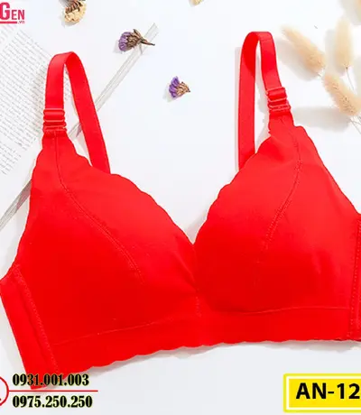 Áo Ngực Không Gọng Cao Cấp AN-120