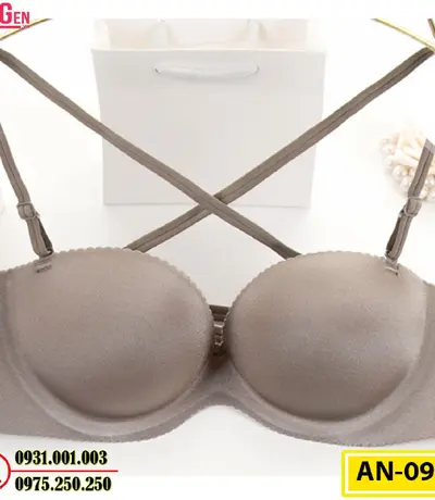 Áo Lót Ngực Cao Cấp AN-098