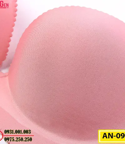 Áo Ngực Không Gọng Cao Cấp AN-099
