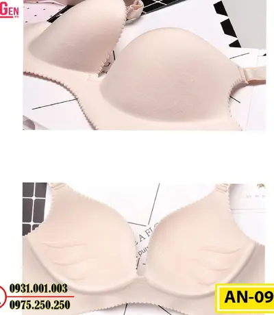 Áo Ngực Không Gọng Cao Cấp AN-099