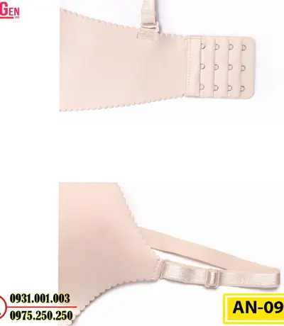 Áo Ngực Không Gọng Cao Cấp AN-099