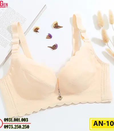 Áo Ngực Bản To Cao Cấp Cod: AN-104