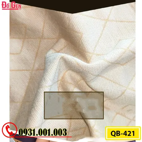 Quần Lót Gen Bụng Định Hình Chống Cuộn Nhỏ Eo Thon Bụng (Cod: QB-421)