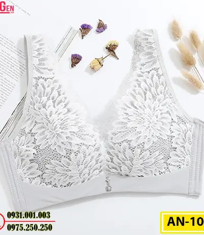 Áo Ngực Bản To Cao Cấp Cod: AN-107