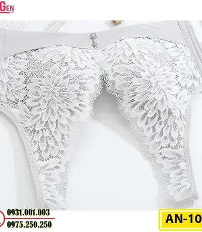 Áo Ngực Bản To Cao Cấp Cod: AN-107