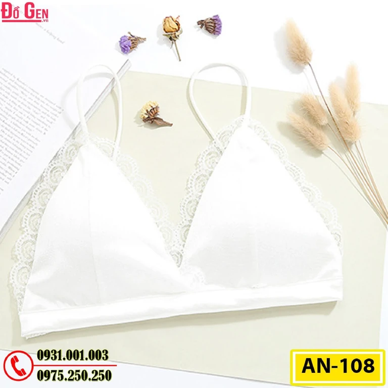 Áo Ngực Không Gọng Cao Cấp AN-108