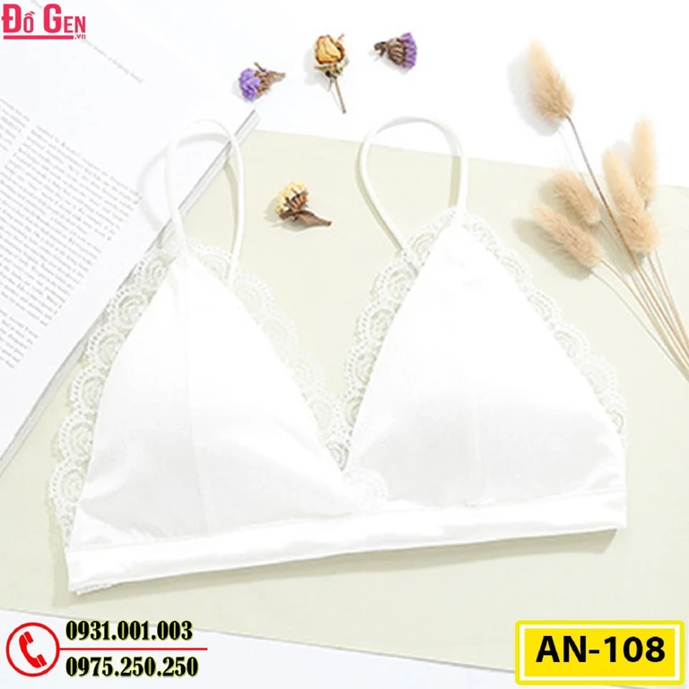 Áo Ngực Không Gọng Cao Cấp AN-108