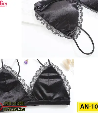 Áo Ngực Không Gọng Cao Cấp AN-108