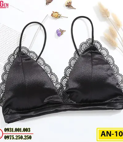 Áo Ngực Không Gọng Cao Cấp AN-108