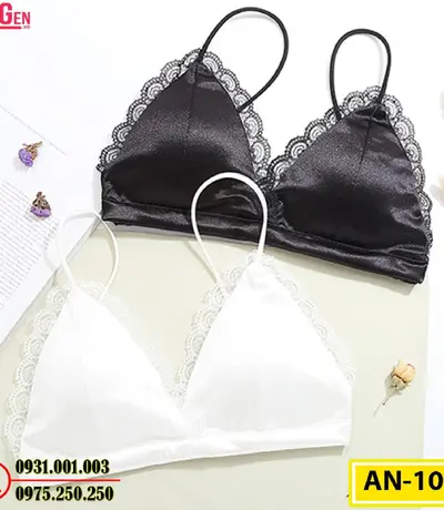 Áo Ngực Không Gọng Cao Cấp AN-108