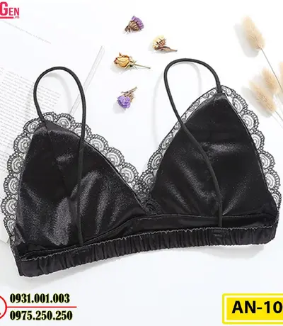 Áo Ngực Không Gọng Cao Cấp AN-108