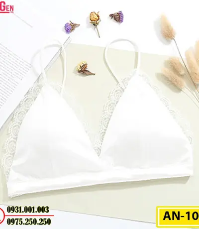 Áo Ngực Không Gọng Cao Cấp AN-108