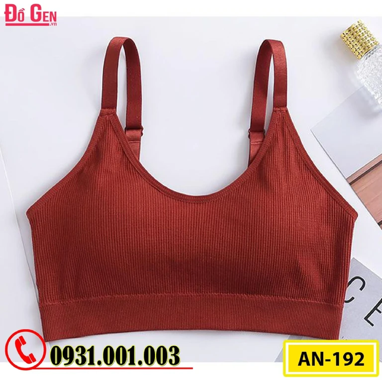 Áo Ngực Thể Thao Không Gọng Cao Cấp AN-192