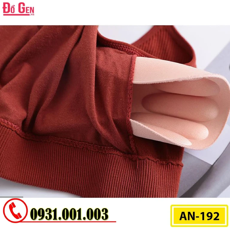 Áo Ngực Thể Thao Không Gọng Cao Cấp AN-192