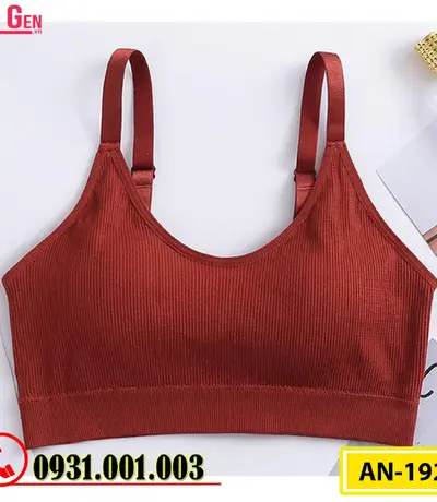 Áo Ngực Thể Thao Không Gọng Cao Cấp AN-192